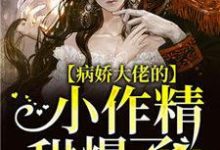 《病娇大佬的小作精甜爆了》全集免费在线阅读(姜茶封迟瑾)-读书翁