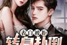 表白被拒,转身扑倒女总裁小说的最新章节在哪里更新?免费追踪阅读-读书翁