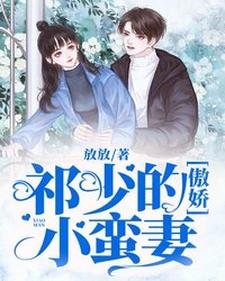 祁少的傲娇小蛮妻小说，祁少的傲娇小蛮妻免费阅读