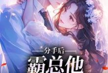 分手后,霸总他坐不住了小说,分手后,霸总他坐不住了最新章节-读书翁