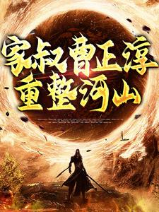 哪里能找到家叔曹正淳，重整河山小说的最新更新和免费章节？