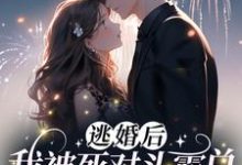 求逃婚后,我被死对头霸总逮回家了小说的全文免费阅读链接-读书翁