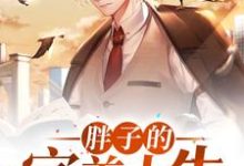 哪里能找到胖子的完美人生小说的全部章节?-读书翁