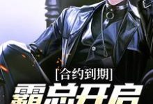 寻找合约到期，霸总开启强势追妻小说的最新更新章节-读书翁