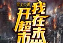 我在末世开超市小说,我在末世开超市免费阅读-读书翁