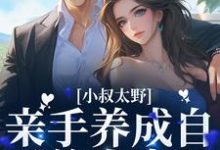 小叔太野，亲手养成自己的小妻子苏婉宁傅询小说在线章节免费阅读-读书翁