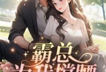 霸总为我撑腰,我哐哐虐渣小说有没有完结版在线?-读书翁