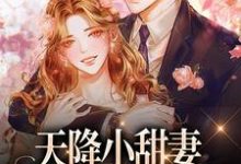 天降小甜妻：偏执大佬抱着哄徐蓁沈凌风在线章节免费阅读-读书翁