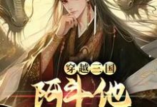 《穿越三国:阿斗他站起来了!》小说刘禅章节章节免费在线阅读-读书翁