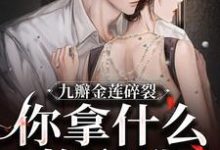 哪里可以免费找到九瓣金莲碎裂,你拿什么挽留我??-读书翁