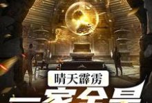 晴天霹雳,一家全是盗墓贼叶慕白張起棂小说在线章节目录阅读最新章节-读书翁