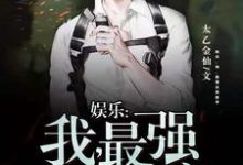 娱乐：我，最强反派影帝小说完结版章节免费阅读-读书翁