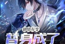 剧情有变，替身成了香饽饽小说的无弹窗阅读体验，寻找免费阅读网站-读书翁