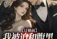 已完结小说《订婚前,我被迫和腹黑大佬领证了》章节在线阅读-读书翁