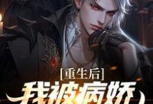 重生后，我被病娇女霸气壁咚林轩苏婳小说大结局免费试读-读书翁