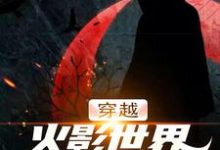 穿越火影世界,我要娶娇妻千手扉间宇智波泉奈,穿越火影世界,我要娶娇妻在线无弹窗阅读-读书翁