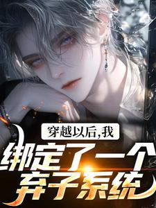 穿越以后，我绑定了一个弃子系统小说无弹窗阅读的网站推荐