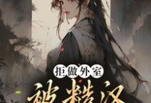 完结版《拒做外室,被糙汉宠成小祖宗》免费阅读-读书翁