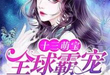 十三萌宝:全球霸宠权太太这本小说在哪里可以看?哪里有免费试读章节?-读书翁