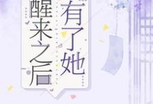完结版《醒来之后有了她》免费阅读-读书翁