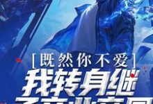 既然你不爱,我转身继承商业帝国苏墨风小说免费阅读-读书翁