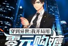 免费看穿到异世：我开局用零元购薅秃京城小说的网站有哪些？-读书翁