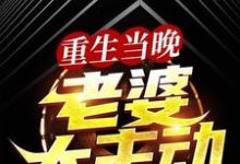 《重生当晚,老婆太主动》小说章节列表免费试读,叶尽欢唐仲薇小说在线阅读-读书翁