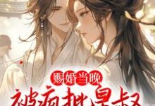 完结版《赐婚当晚，被疯批皇叔强取豪夺》免费阅读-读书翁