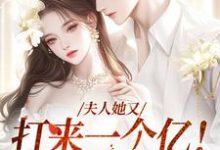 寻找夫人她又打来一个亿!这婚我结!小说的最新更新章节-读书翁