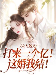 寻找夫人她又打来一个亿！这婚我结！小说的最新更新章节