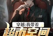 叶浩何雨柱小说《穿越:我带着超市空间闯四合院》在线阅读-读书翁