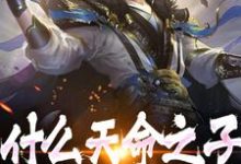 什么天命之子,我是神选反派林叶小叶子小说大结局免费试读-读书翁