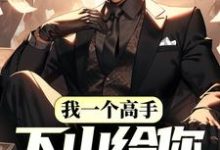 哪里能找到我一个高手,下山给你当保镖?小说的全部章节?-读书翁