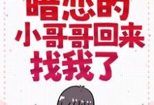 长大后，暗恋的小哥哥回来找我了小说最新更新在哪里？免费在线看-读书翁