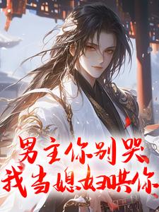 小说《男主你别哭，我当媳妇哄你》章节免费阅读