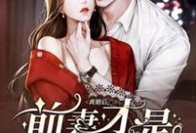 离婚后,前妻才是白月光小说,离婚后,前妻才是白月光最新章节-读书翁