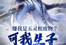 完结版《嫌我是五灵根废物?可我生子就无敌》免费阅读-读书翁