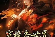 穿梭各世界,我虐渣虐到爽小说,穿梭各世界,我虐渣虐到爽章节在线阅读-读书翁