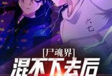 尸魂界混不下去后我称霸全世界小说全文哪里可以免费看?-读书翁