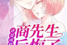 虐爱成瘾：商先生后悔了安荔商拙言，虐爱成瘾：商先生后悔了小说免费阅读-读书翁