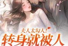 夫人太勾人!转身就被人给拱了小说,夫人太勾人!转身就被人给拱了章节在线阅读-读书翁