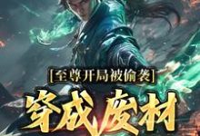 至尊开局被偷袭,穿成废材又如何?秦风姜洛神小说完结版章节在线阅读-读书翁