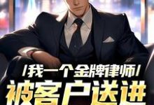 完结版《我一个金牌律师,被客户送进监狱了》章节阅读-读书翁