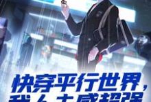 快穿平行世界，我人夫感超强叶涵，快穿平行世界，我人夫感超强章节在线阅读-读书翁