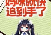 爹地加把劲,妈咪就快追到手了顾唯一傅景丰,爹地加把劲,妈咪就快追到手了在线无弹窗阅读-读书翁