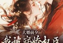 裴砚忱姜映晚小说大婚前夕,我被病娇权臣强取豪夺了章节免费阅读-读书翁