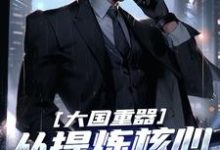 大国重器:从提炼核心技术开始小说完结版章节免费阅读-读书翁