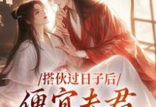 完结版《搭伙过日子后,便宜夫君沦陷了》章节阅读-读书翁