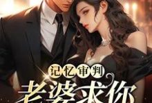 《记忆审判:老婆求你看我一眼》全集免费在线阅读(林冉傅行简)-读书翁