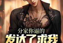 完结版《分家你逼的，发达了求我养老干什么》章节目录在线阅读-读书翁